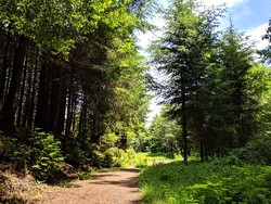 McKay Community Forest, Eureka - Uploaded by Abby Armstrong Cassidy