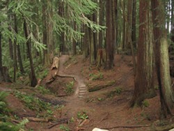 Sequoia Park - Uploaded by Sierra Wood