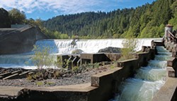 JOHN HEIL/UNITED STATES FISH AND WILDLIFE SERVICE - Cape Horn Dam sits on the Eel River, about 4 miles from Potter Valley.