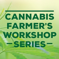 2f104a42_cannabis_workshop_series_pic.jpg