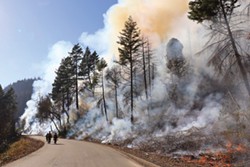 PHOTO BY STORMY STAATS/KLAMATH SALMON MEDIA COLLABORATIVE - Burners bring fire to a switch-back area along the Gasquet-Orleans Road in a strategy to bring cooler intentional burns frequently to an area that has already had high severity wildfire.
