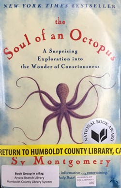 093919b5_soul_of_octopus.jpg