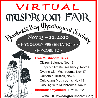 Virtual Mushroom Fair
