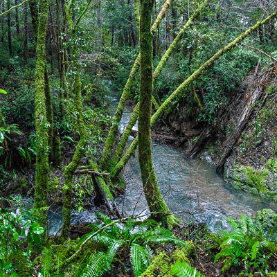 Vanauken Creek, Mattole River Watershed