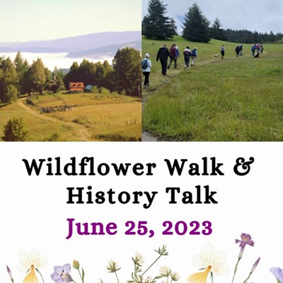Wildflower Walk & History Talk a Benefit for Karuna Rescue